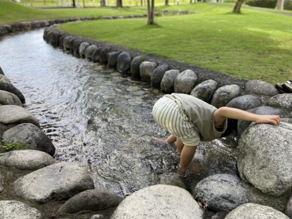 じゃぶじゃぶ池で遊んでいる子供の後ろ姿